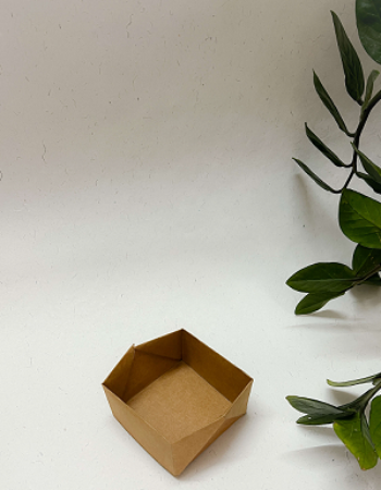 250ml Disposable Kraft serving Tray