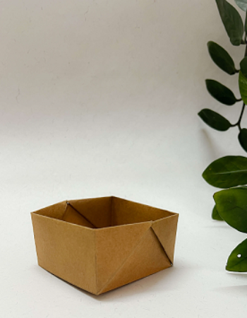 250ml Disposable Kraft serving Tray
