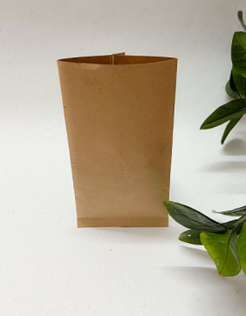 100g Kraft Pillow Pouch-Heat Sealable (100gms – 4in by 6.5in)