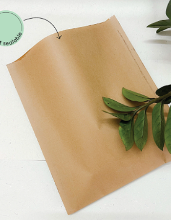 A3 Heat sealable Kraft Mailer (A3 – 12in by 18in)